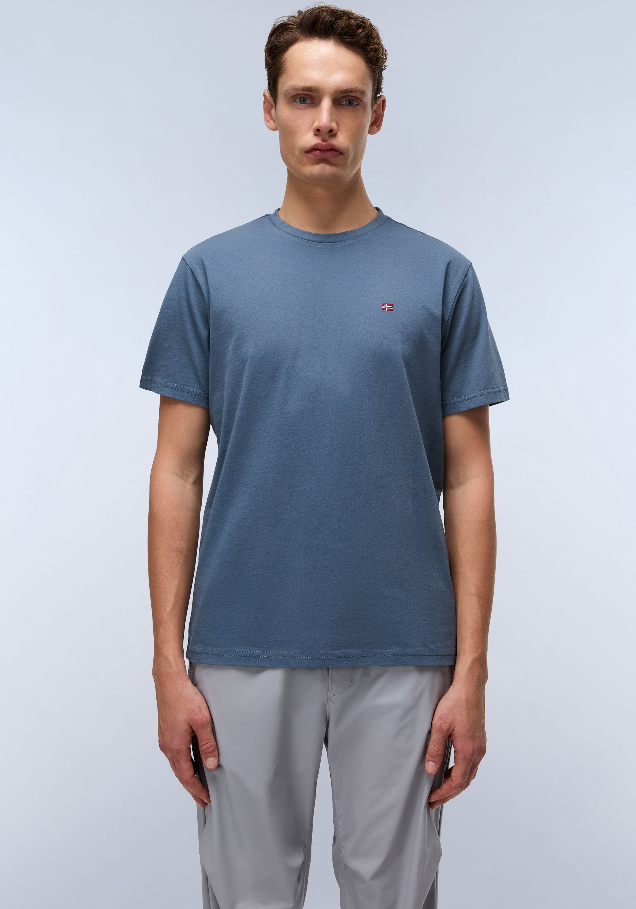 Napapijri T-Shirt "SALIS SS SUM SHARK SKIN HCB" günstig online kaufen