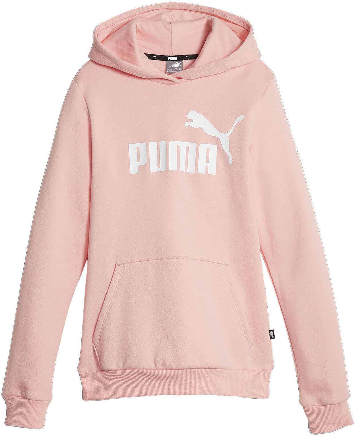 Kapuzensweatshirt »ESS LOGO HOODIE FL G«