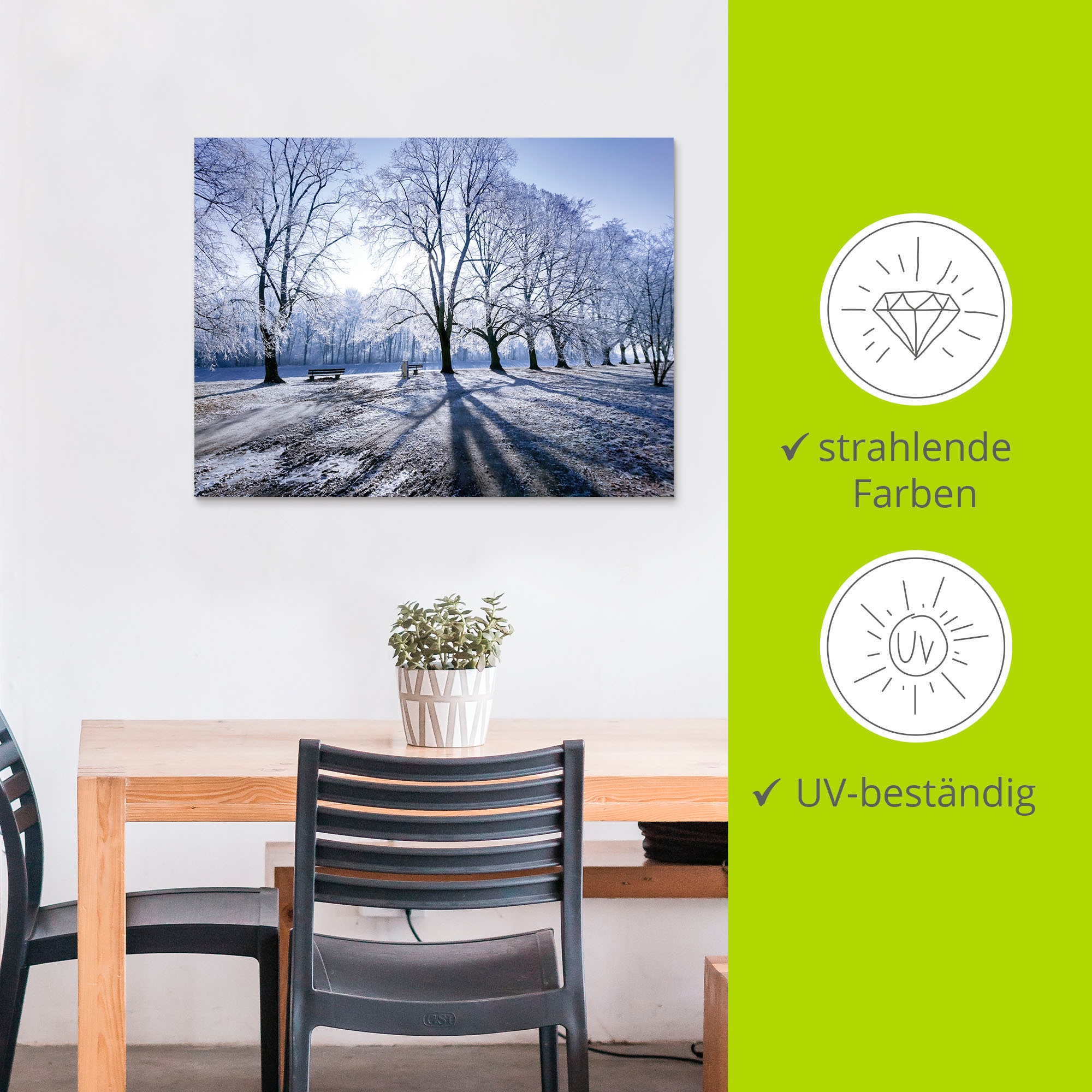 Artland Wandbild »Wintertraum. Leinwandbild, St.), kaufen Licht & BAUR oder in im als Wandaufkleber Schatten Größen & (1 Poster Baumbilder, Wiesen Alubild, versch. Winter«, 