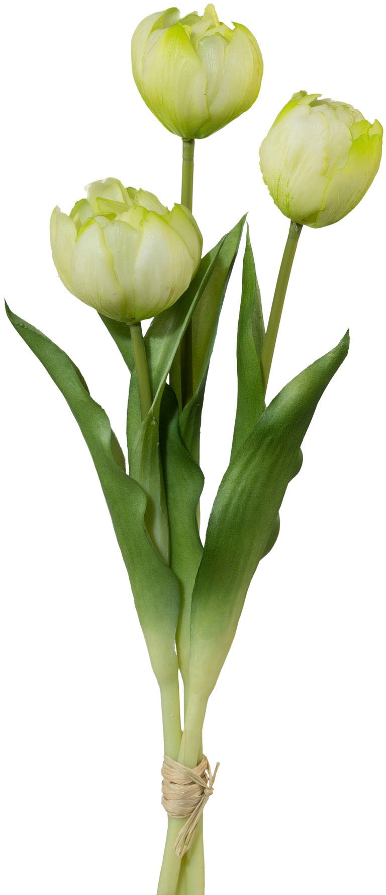 my home Kunsttulpe "Gefüllte Tulpen" günstig online kaufen