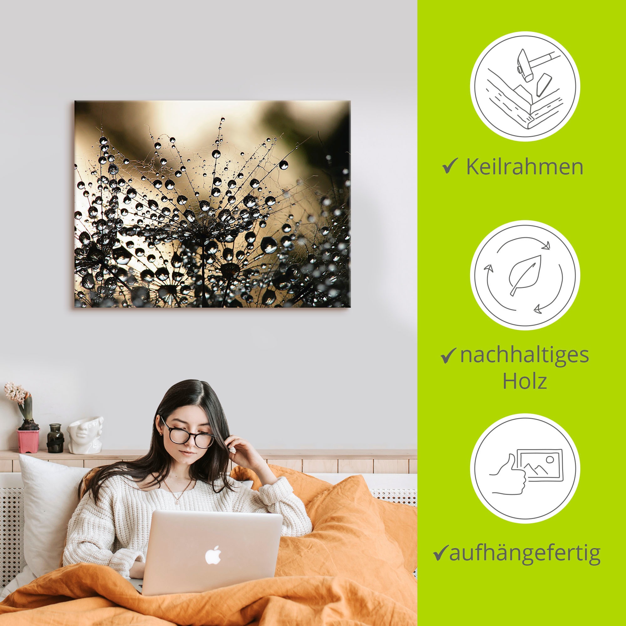 Artland Wandbild »Nasser Löwenzahn«, Blumen, (1 St.), als Alubild, Outdoorbild, Leinwandbild, Poster, Wandaufkleber
