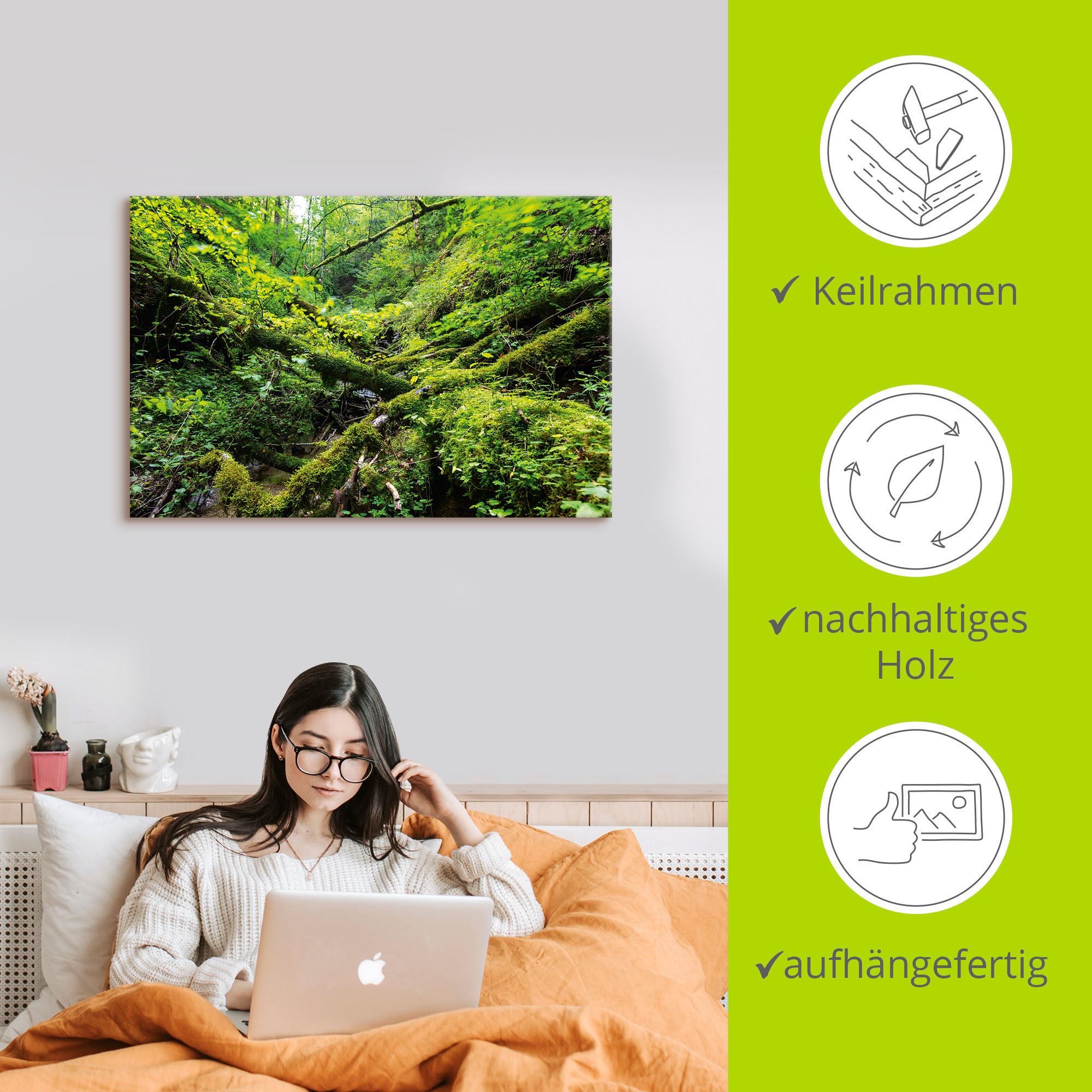 Artland Wandbild »Moosbedecktes Totholz Schwarzwald«, Waldbilder, (1 St.), als Alubild, Leinwandbild, Wandaufkleber oder Poster in versch. Größen