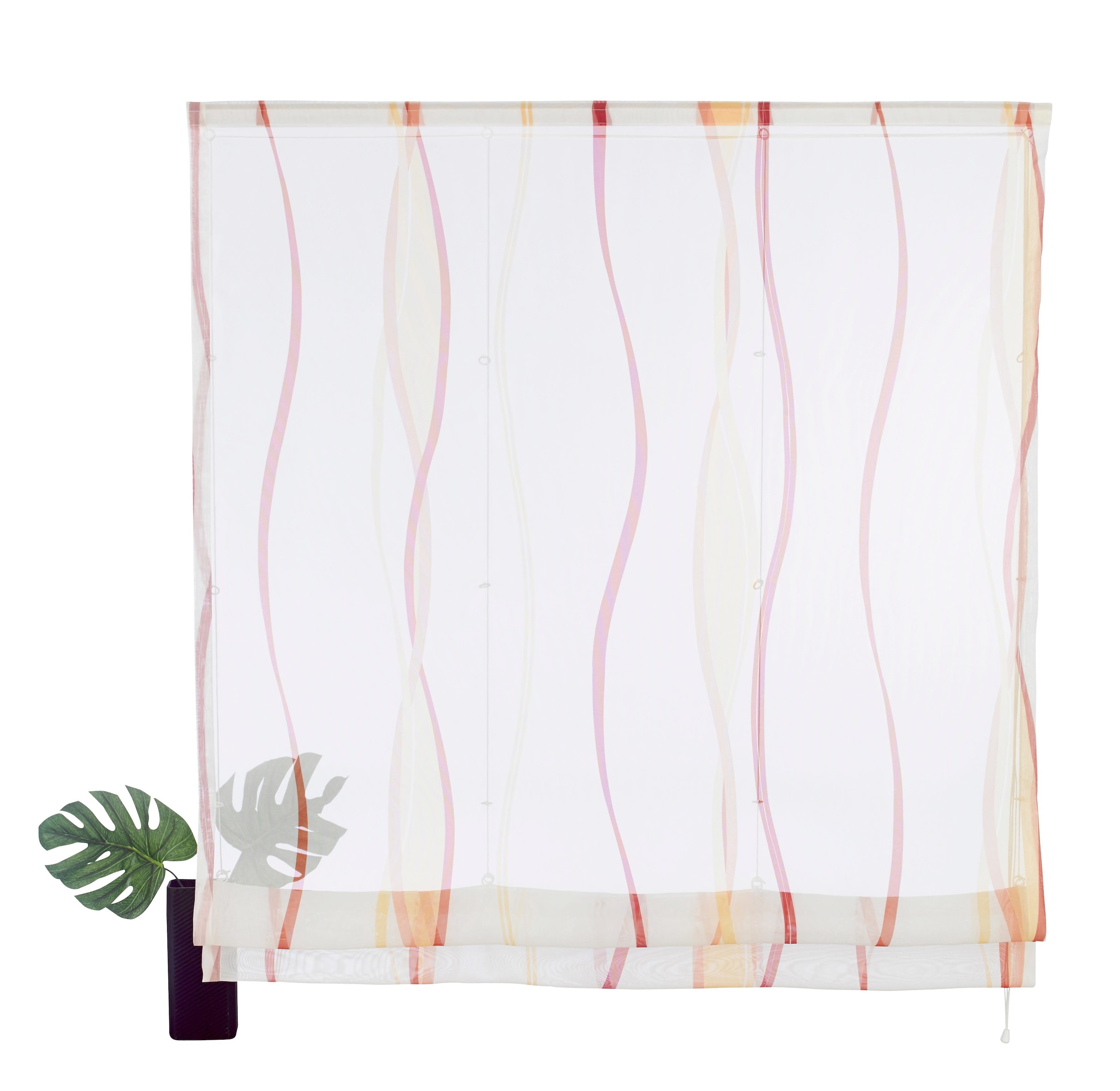 my home Raffrollo »Dimona«, mit Wellen Voile, Klettschiene, Polyester, | BAUR Transparent