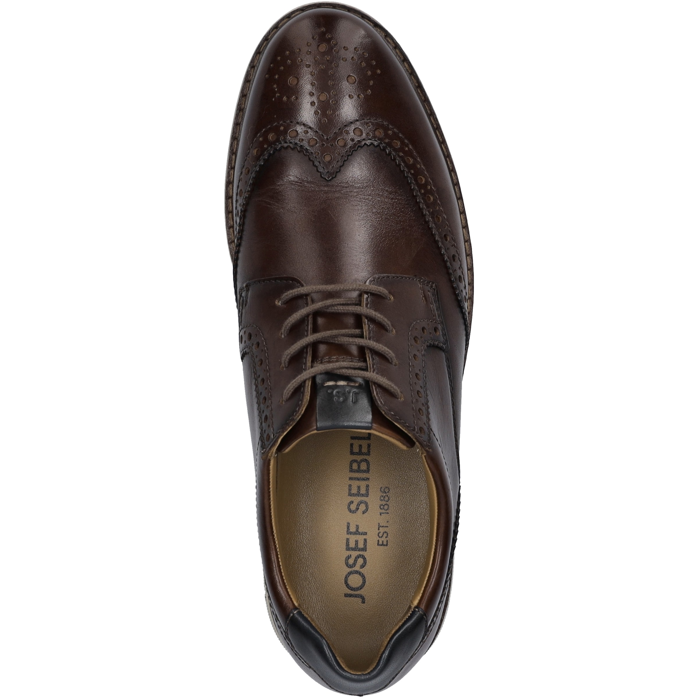 Josef Seibel Schnürschuh »Stuart 04, castagne-kombi«