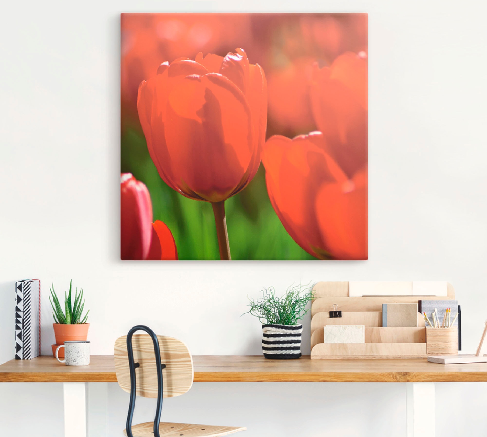 Artland Wandbild »Rote Tulpen Poster Größen versch. als Wandaufkleber kaufen Leinwandbild, Blumen, | Alubild, Sonne«, in in der (1 oder BAUR St.)