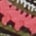 olivgrün-ocker-offwhite-mauve-schwarz