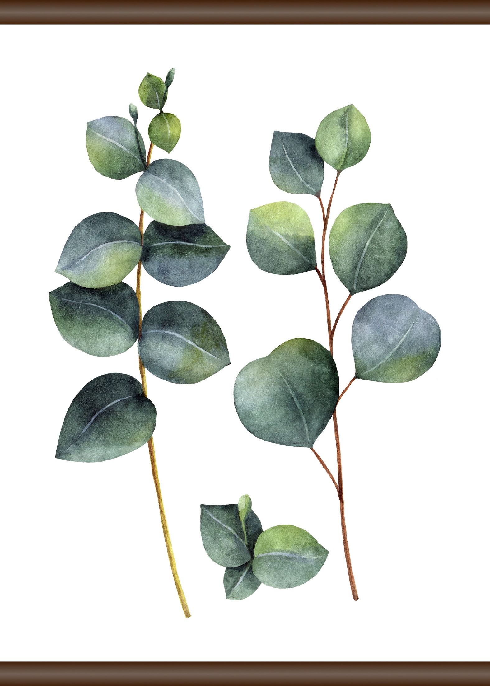 bestellen queence | BAUR Pflanze«, 50x70 »Eukalyptus Leinwandbild cm
