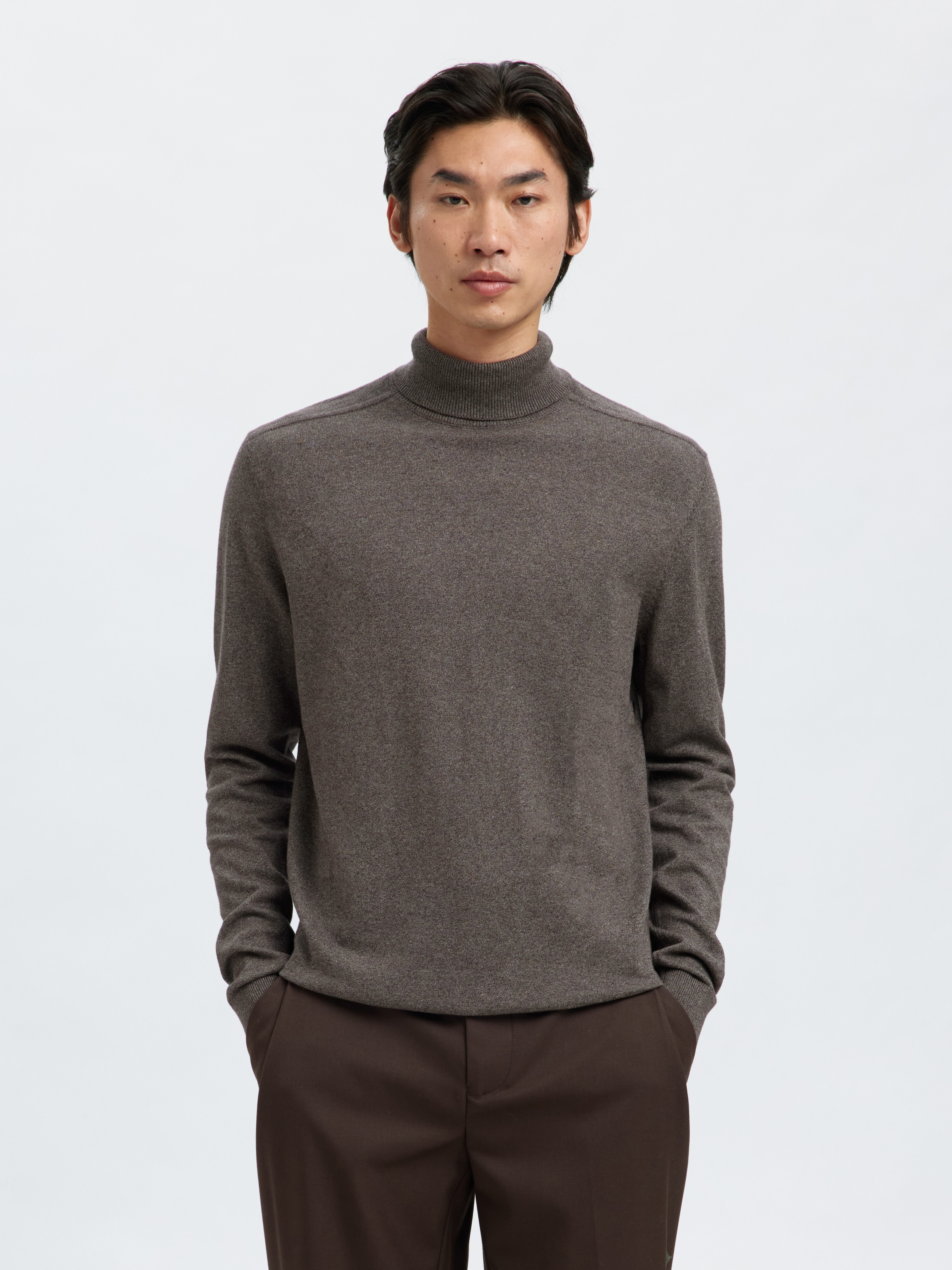 SELECTED HOMME Rollkragenpullover "SLHZREG-KRIS KNIT ROLL NECK" günstig online kaufen