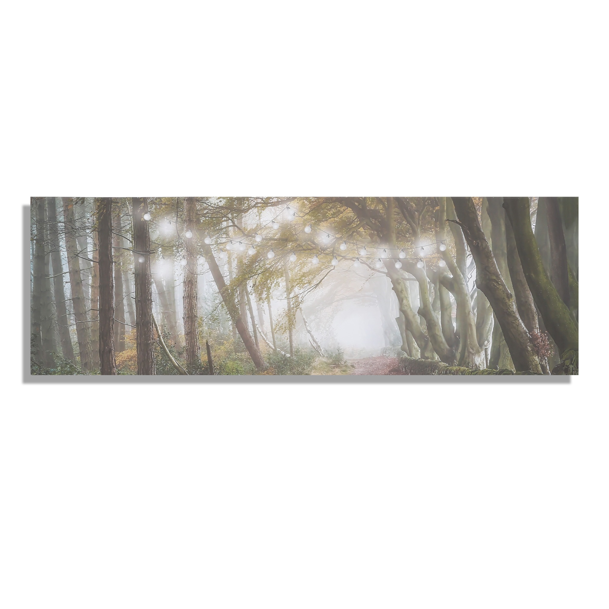 Art for the home LED-Bild "Waldspaziergang LED 30x90cm", Wald-Natur, (1 St. günstig online kaufen