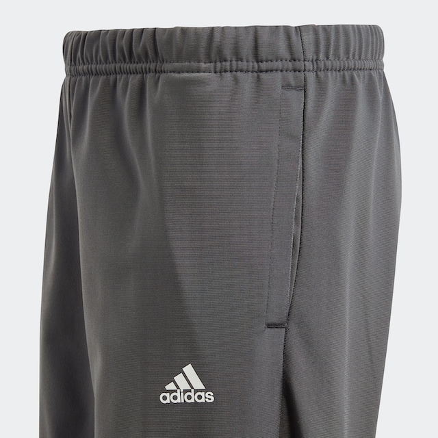 adidas Sportswear Trainingsanzug »ESSENTIALS BIG LOGO«, (2 tlg.) auf  Rechnung | BAUR