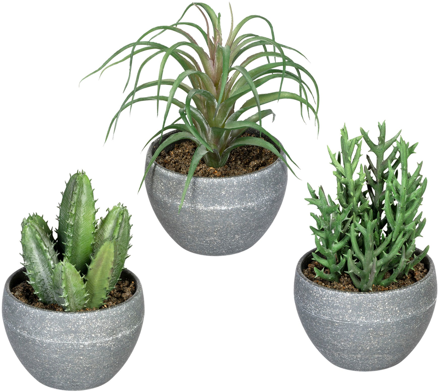 Black Friday Creativ green Künstliche Zimmerpflanze »Sukkulenten«, im  Melamintopf, 3er Set | BAUR