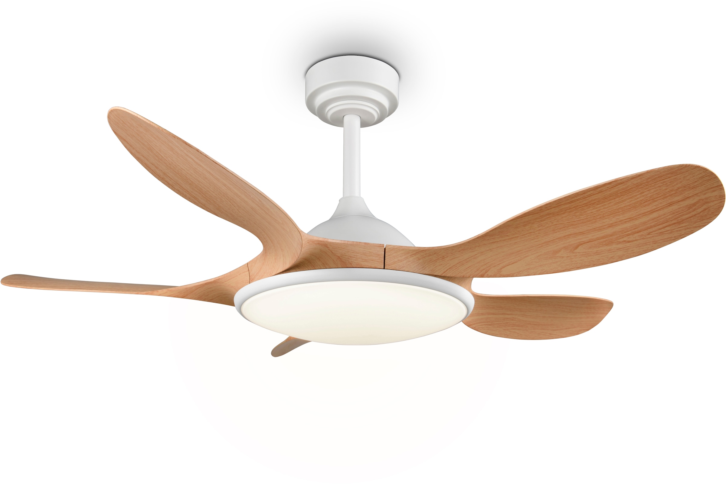 REALITY Leuchten LED Deckenleuchte »FLEN mit Ventilator, großer Deckenventilator Ø 108cm mit 24W LED CCT« LED-Board 1 Stk. Farbwechsler | warmweiß - kaltweiß Fernbedienung 6 Geschwindigkeiten Timer Vor- & Rücklauf dimmbar
