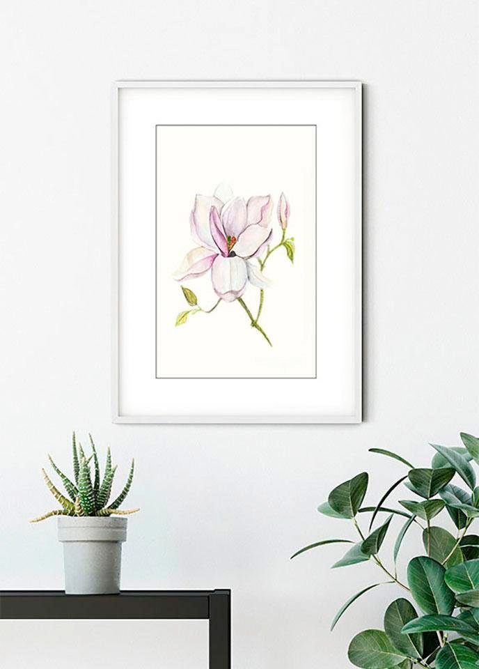 Komar Bild »Magnolia Shine« Blätter | Pflanzen 1 Stk. tlg. Wandbild zur Dekoration - ohne Rahmen