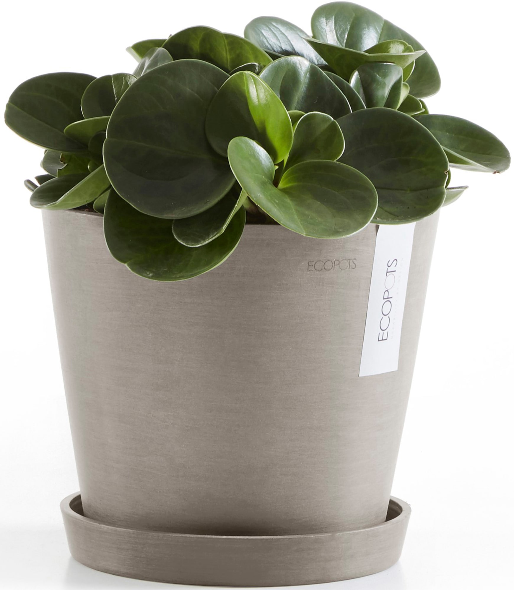 ECOPOTS Blumentopf »Amsterdam 20 + Wassersystem Taupe«, für innen und außen: frostsicher, bruchsicher und lichtbeständig