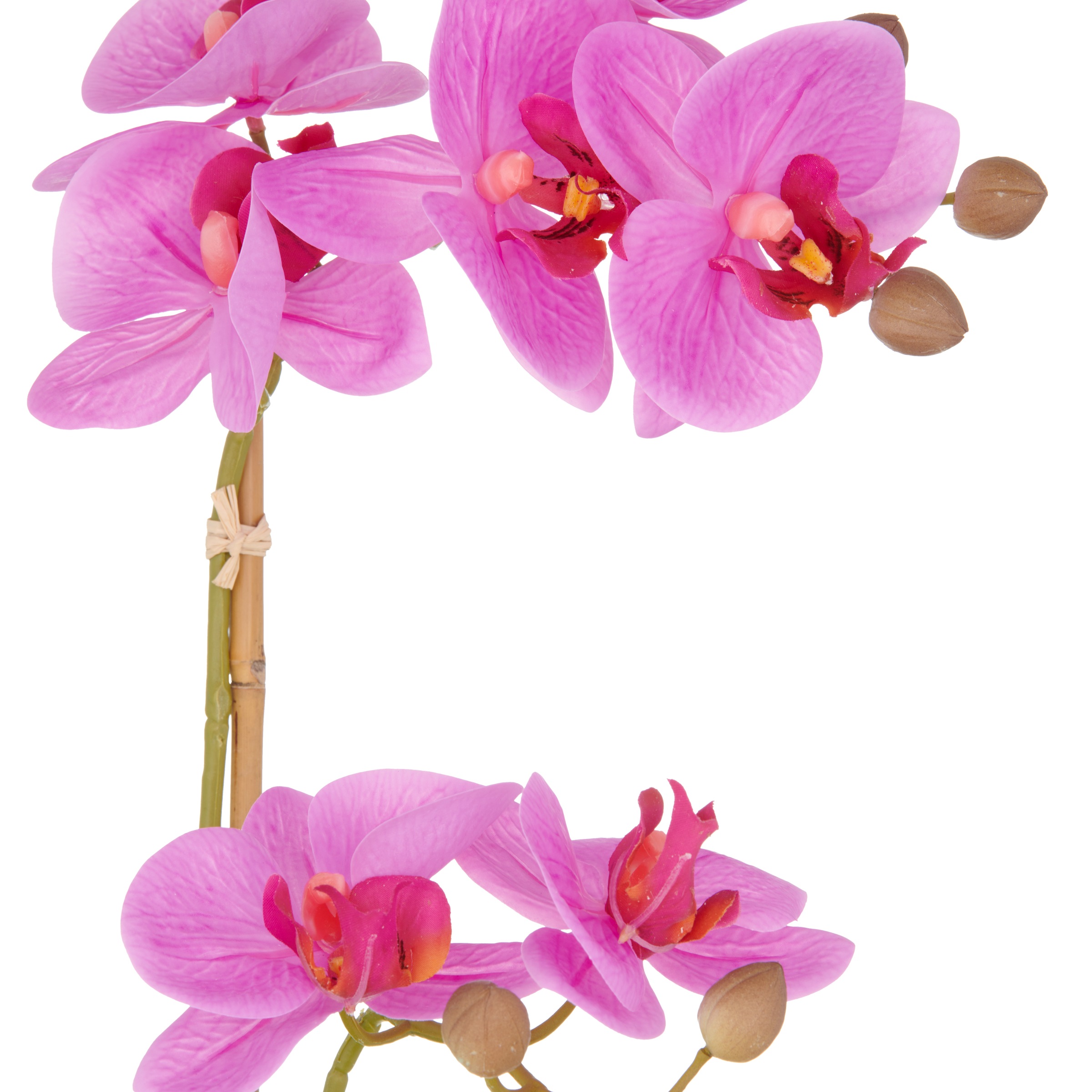 Creativ green Kunstorchidee "Orchidee Phalaenopsis", mit dauerhafter Blüten günstig online kaufen