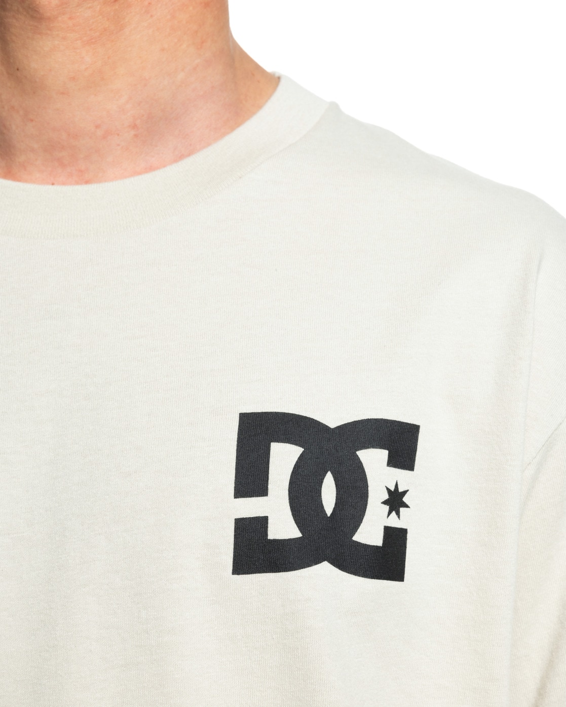 DC Shoes T-Shirt »The Venue«