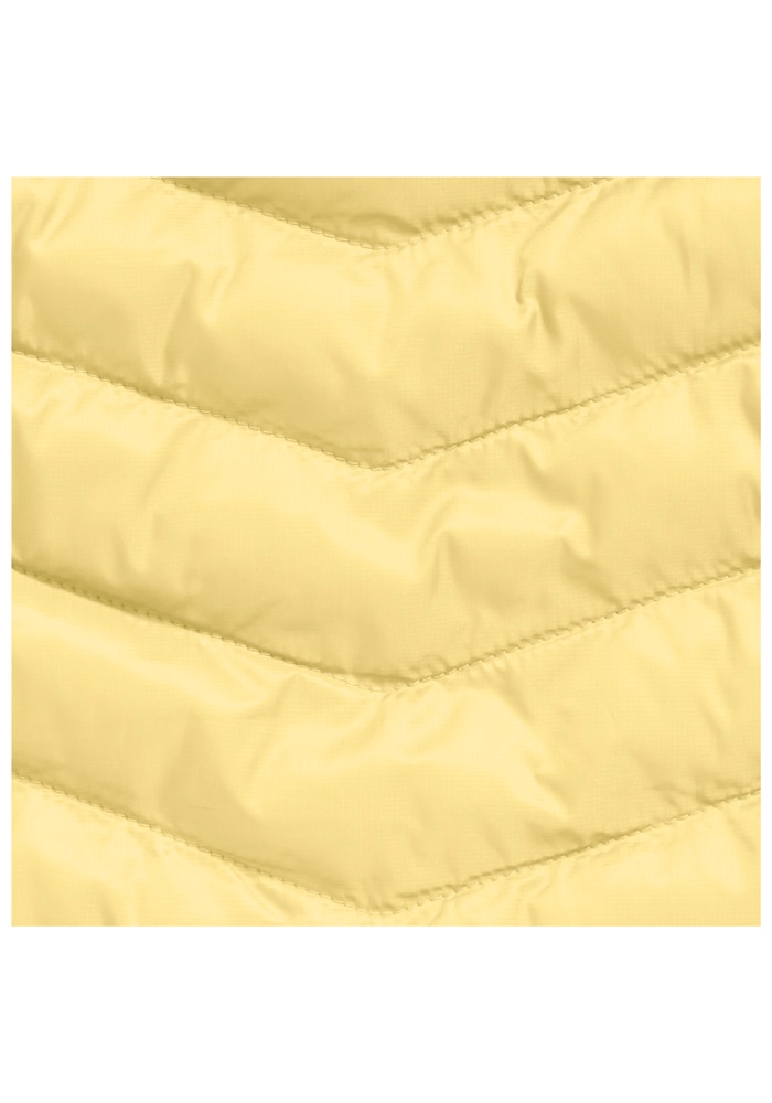 Jack Wolfskin Funktionsjacke »ROUTEBURN PRO INS JKT W«, mit Kapuze