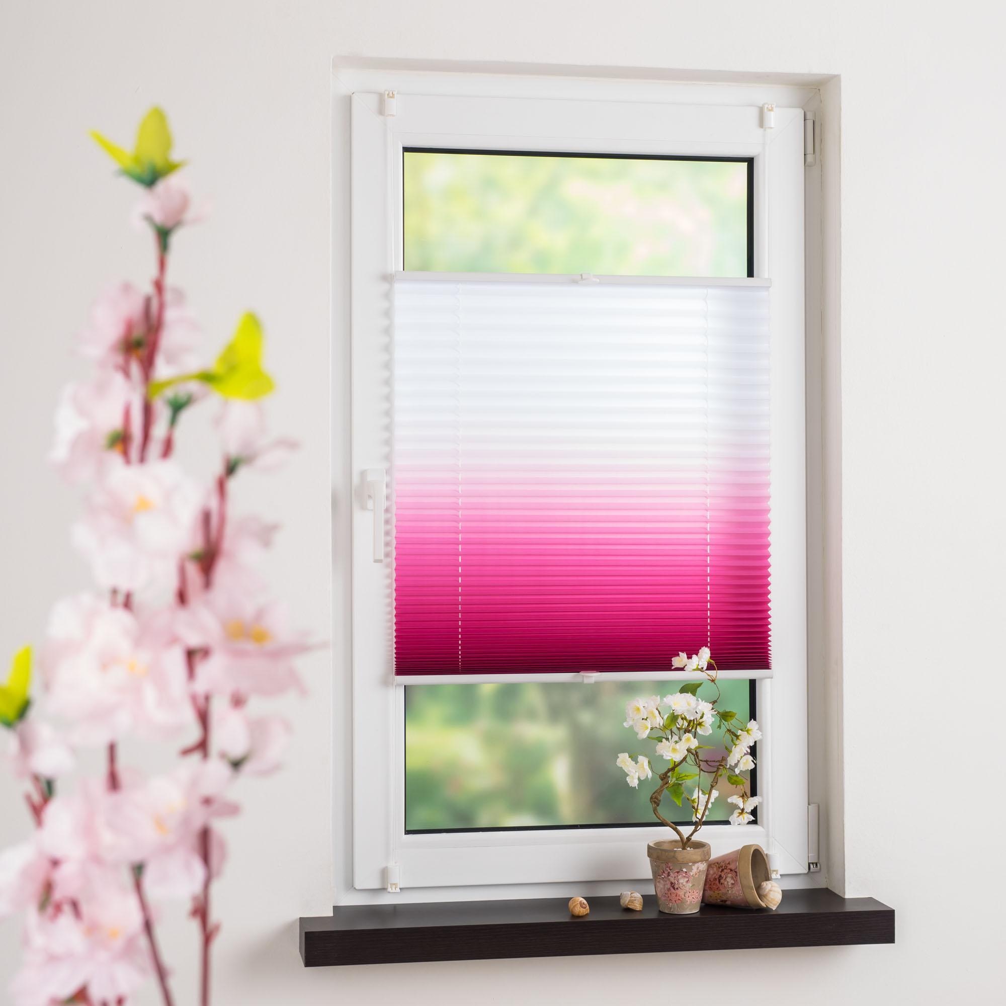 Liedeco Plissee "Farbverlauf" Lichtschutz ohne Bohren verspannt günstig online kaufen