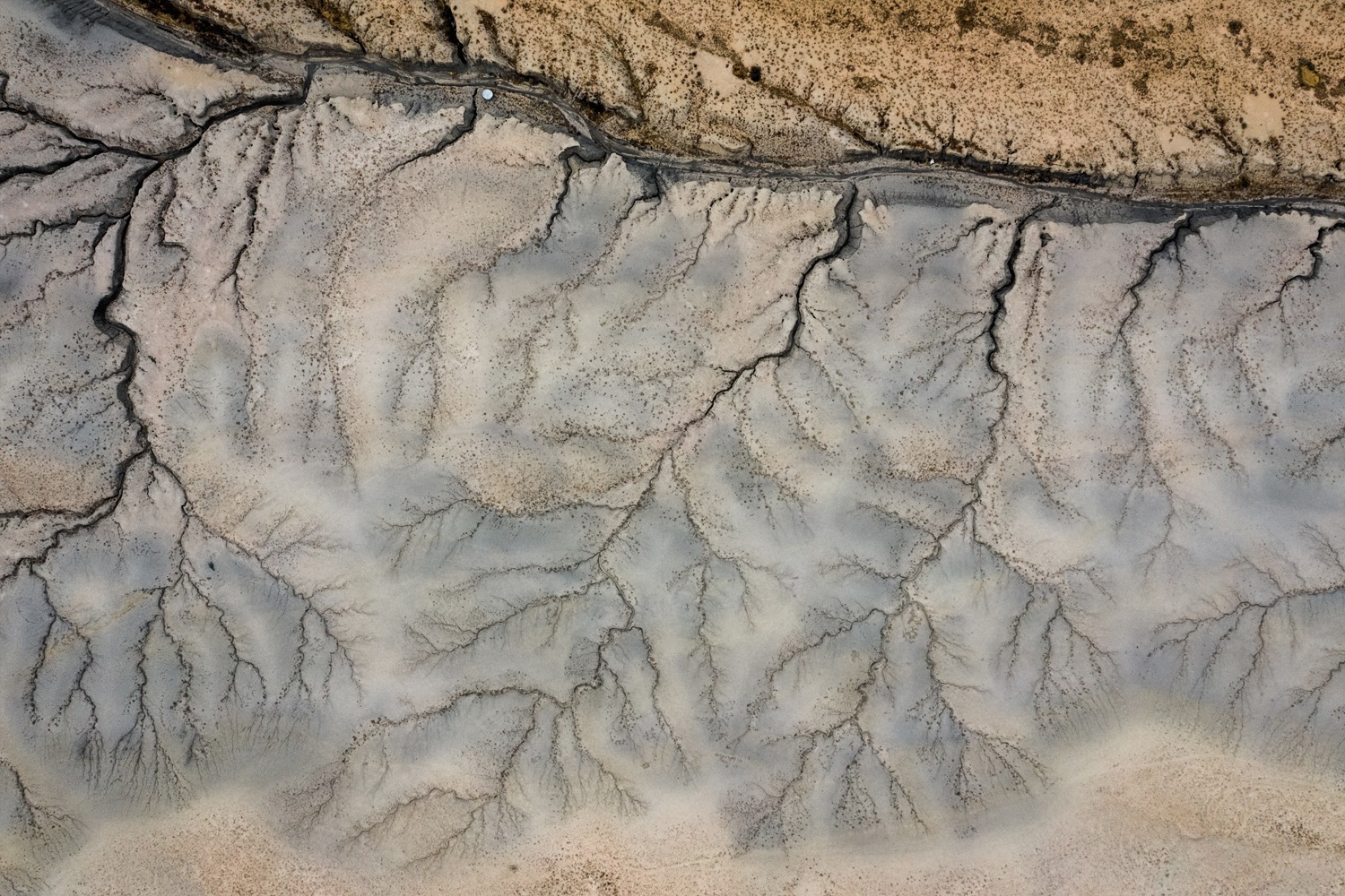 queence Leinwandbild "Earth" Felder 1 Stk. tlg. mit sehr guten Schallabsorp günstig online kaufen