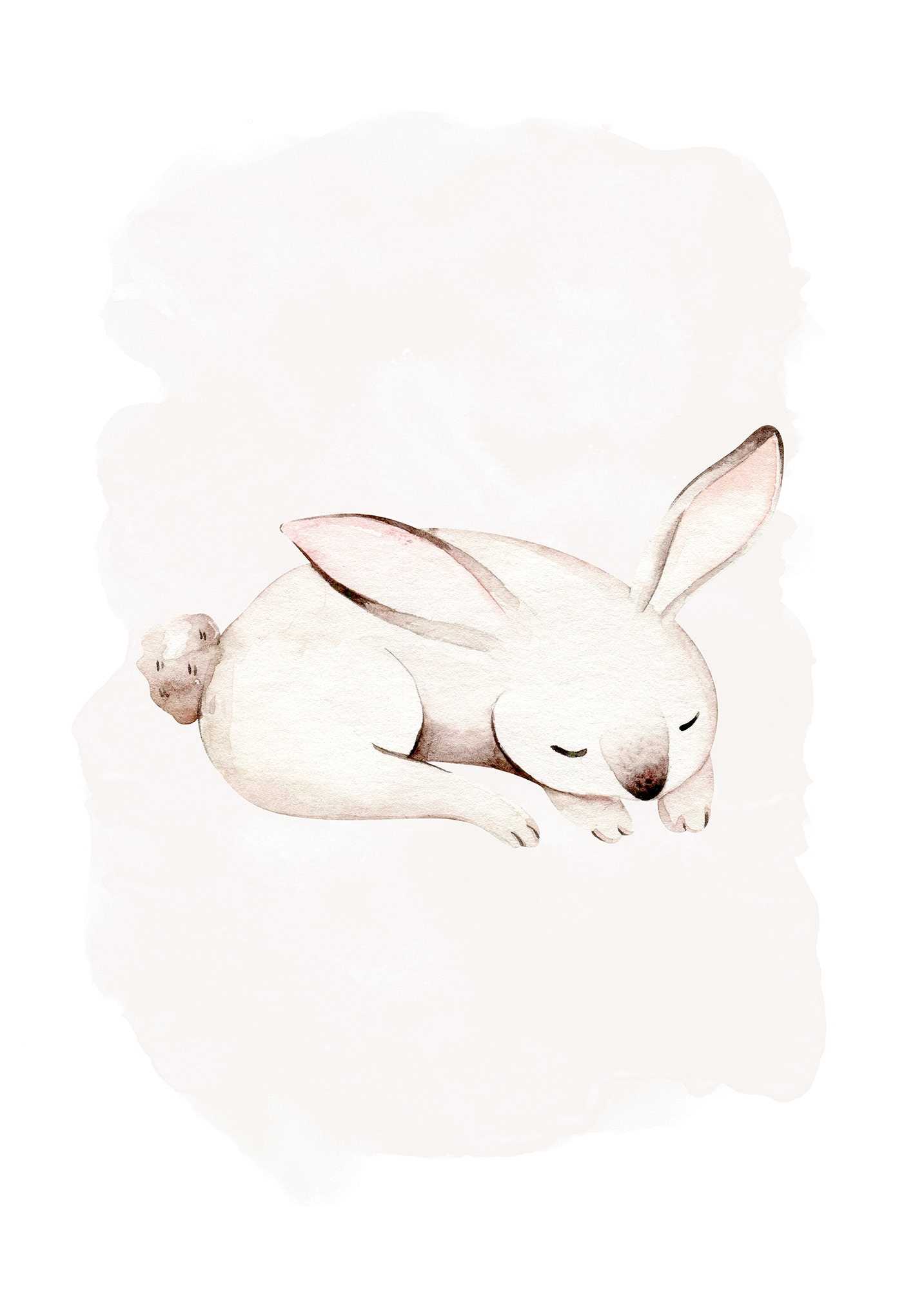 Komar Bild "Sleepy Bunny", Natur, (1 St.), Wandbild zur Dekoration - ohne R günstig online kaufen