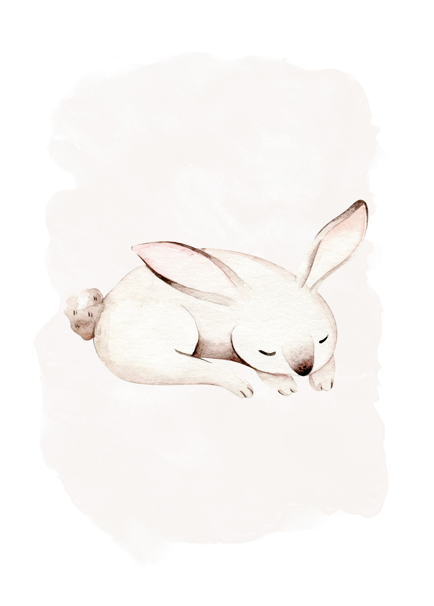 Komar Bild "Sleepy Bunny" Natur 1 Stk. tlg. Wandbild zur Dekoration - ohne günstig online kaufen