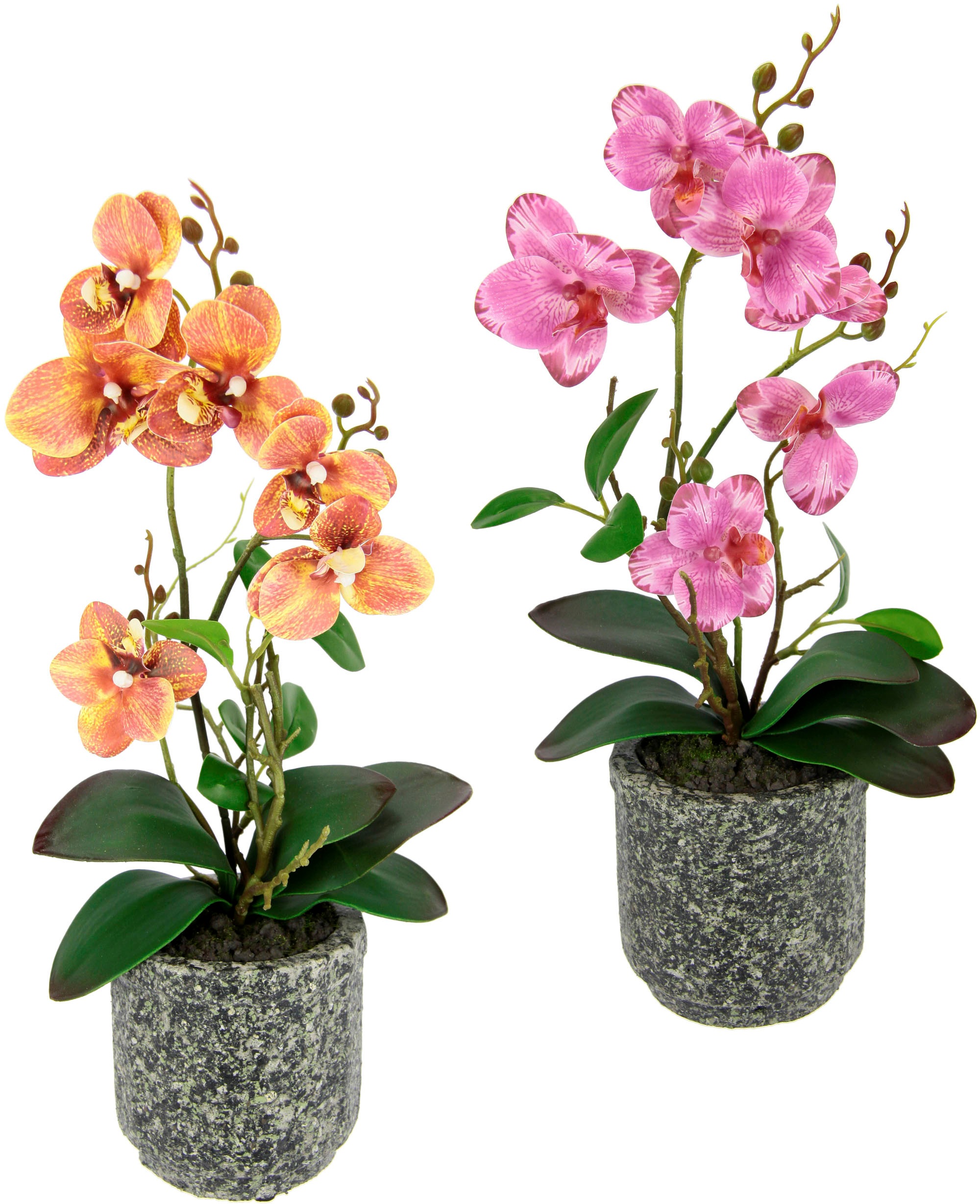 OTTO home Kunstpflanze "Orchidee" Mit Blättern und Luftwurzeln, im Topf aus Keramik, 2er Set