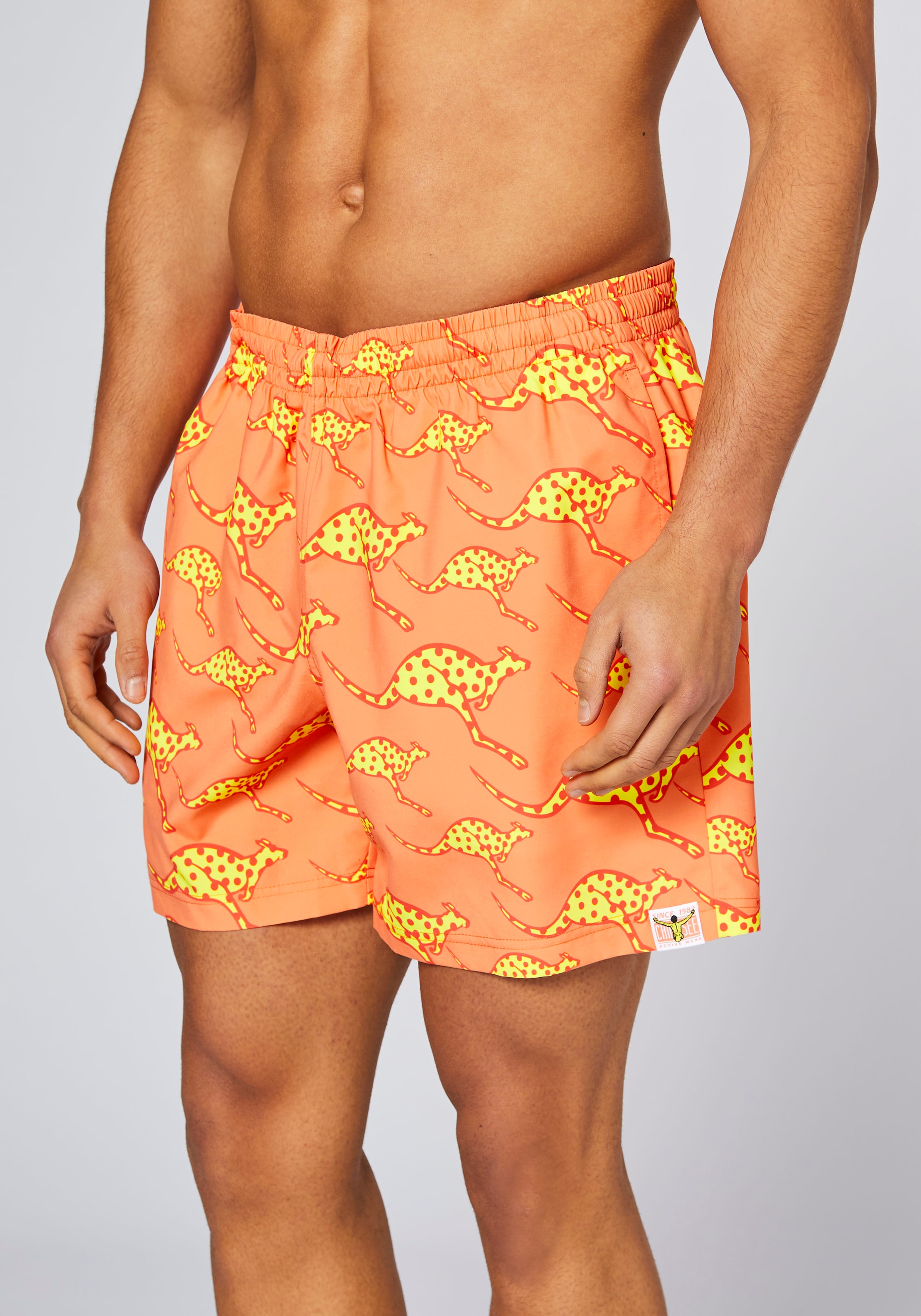 Chiemsee Badeshorts
