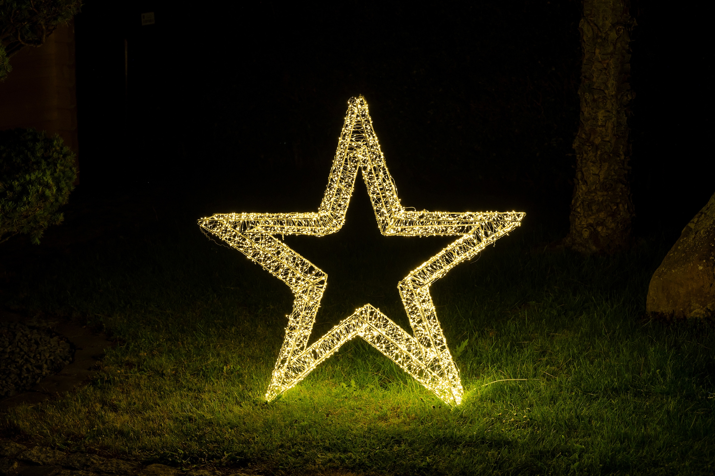 Star-Max LED Stern Weihnachtsdeko stromsparende BAUR »Weihnachtsstern, flammig-flammig, LED 960 kaufen | aussen«