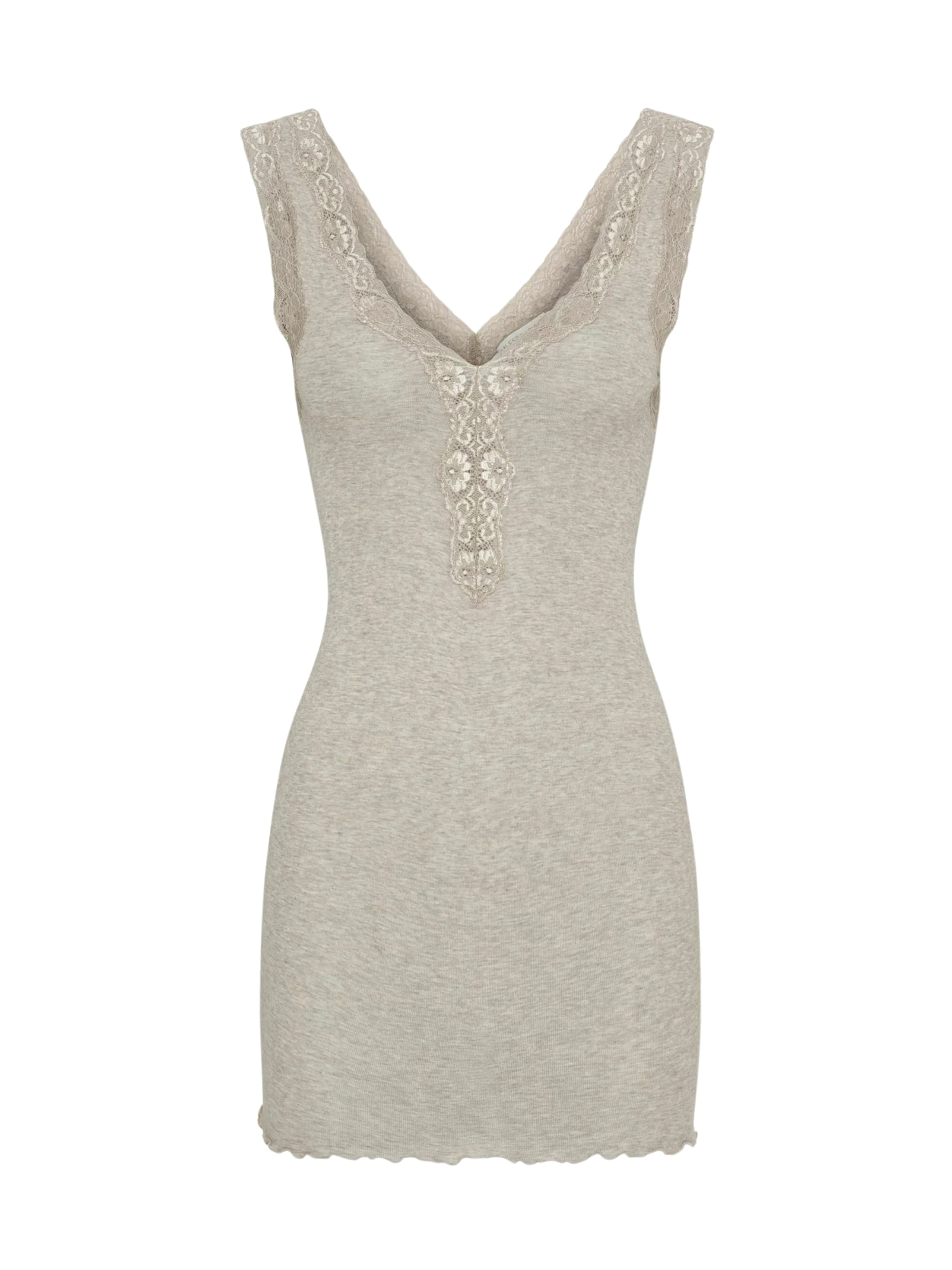 Seamless Basic "Seamless Basic Top Cotton Lacey"