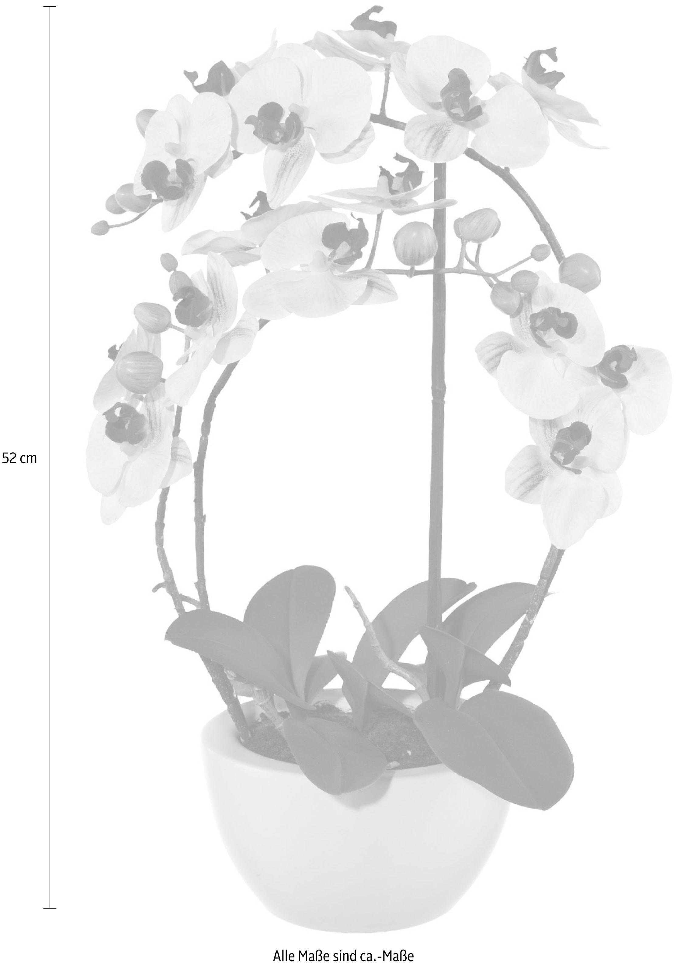 Creativ green Kunstpflanze »Phalaenopsis«