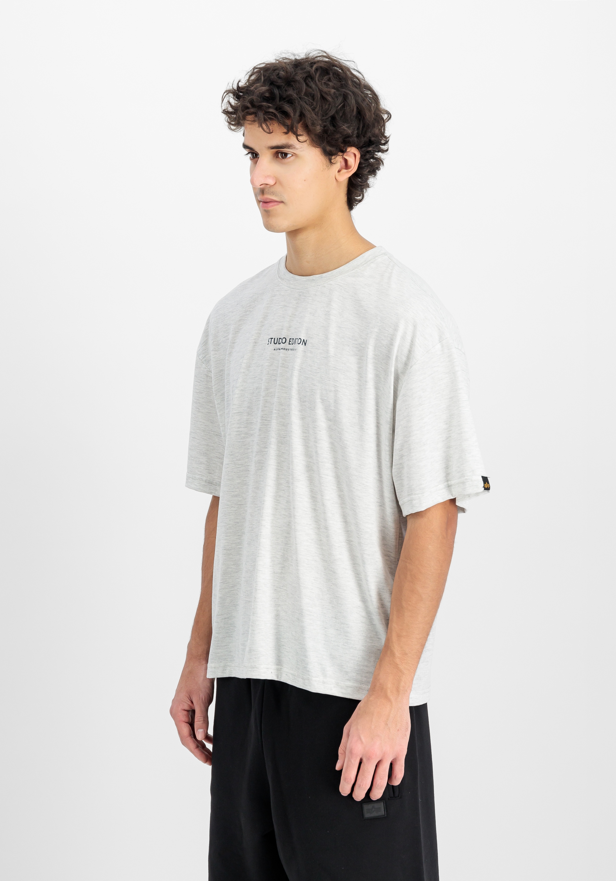 Alpha Industries "Studio Edition Backprint T-Shirt"