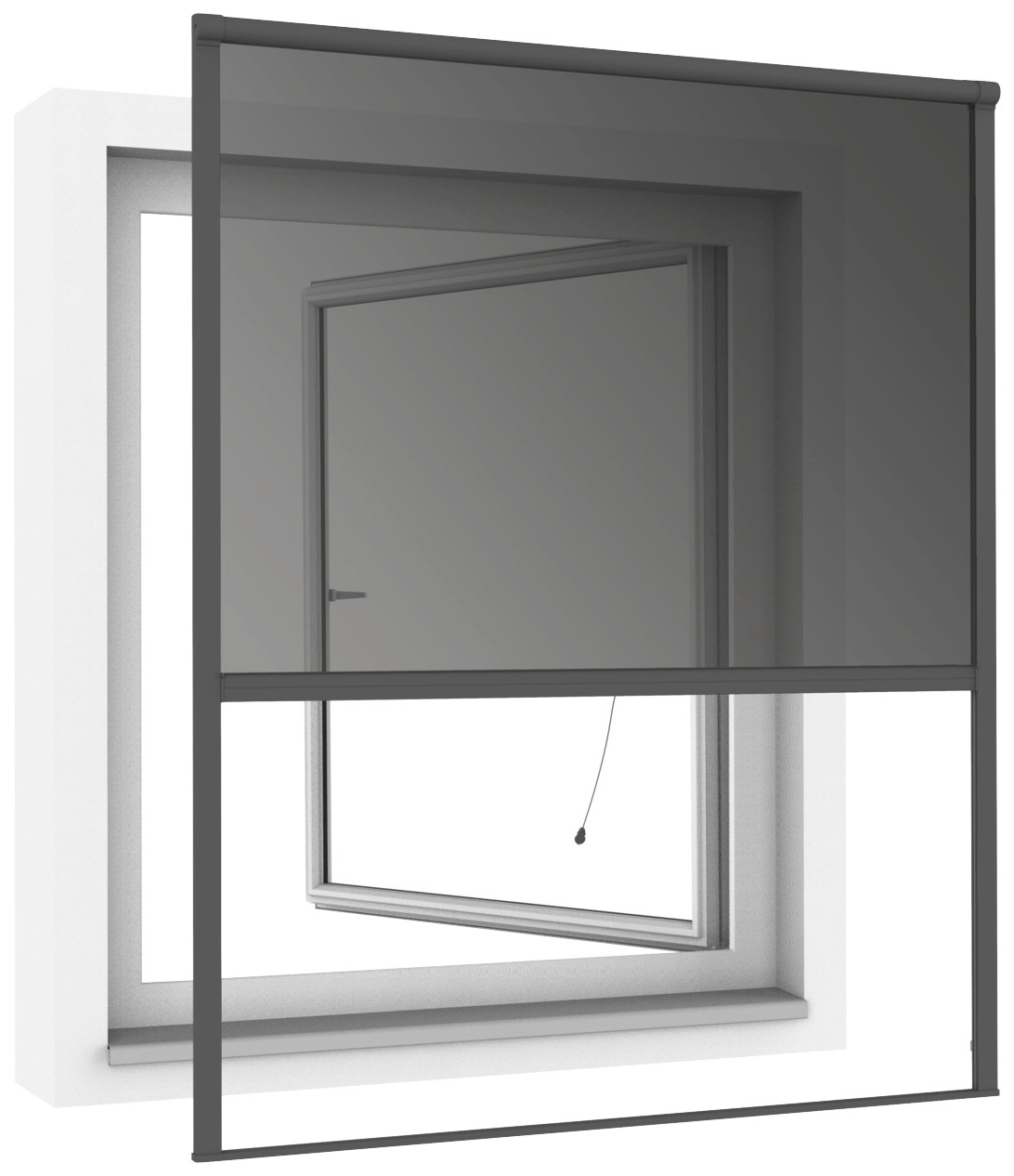 Windhager transparent Insektenschutz BxH: 100x160 cm günstig online kaufen