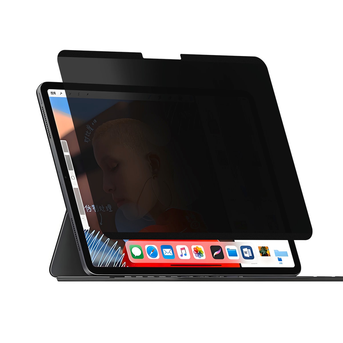 Displayschutzfolie »Magnetischer Privacy Filter«, für Apple iPad Pro 11 (M4, 2024),...