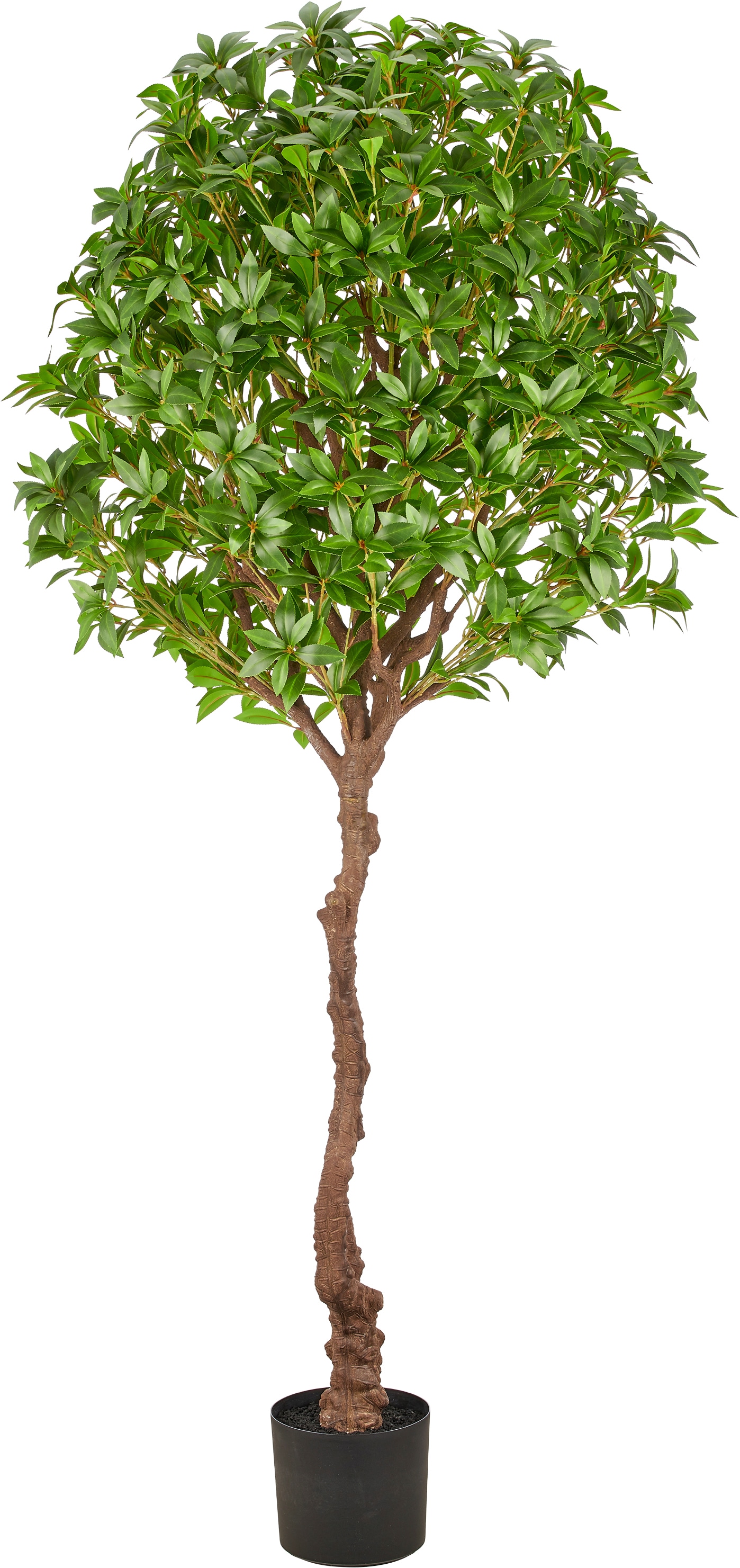 Creativ green Kunstbaum "Pieris" als Hochstamm