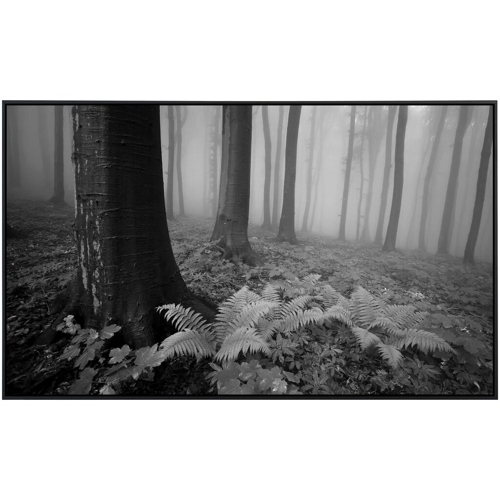 Papermoon Infrarotheizung »Wald Schwarz & Weiß«