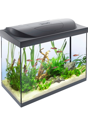 Tetra Aquarien-Set »Starter Line LED« 80 l