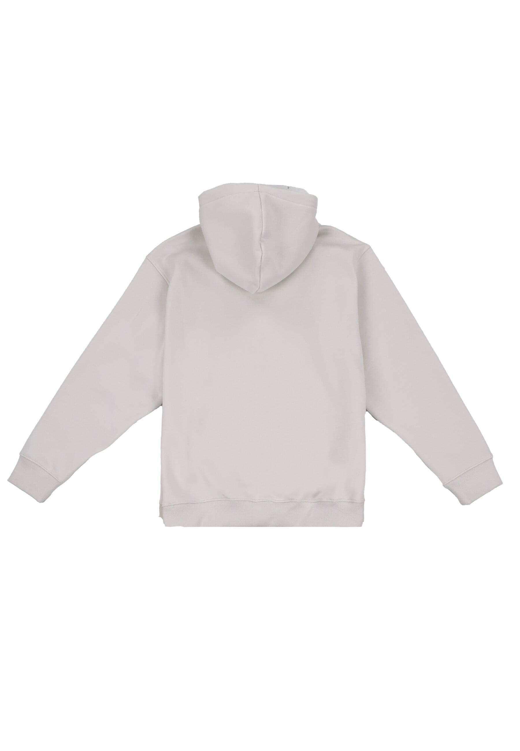 Dropsize Sweatjacke "Dropsize Dropsize REGULAR FIT ZIP-HOODIE" günstig online kaufen
