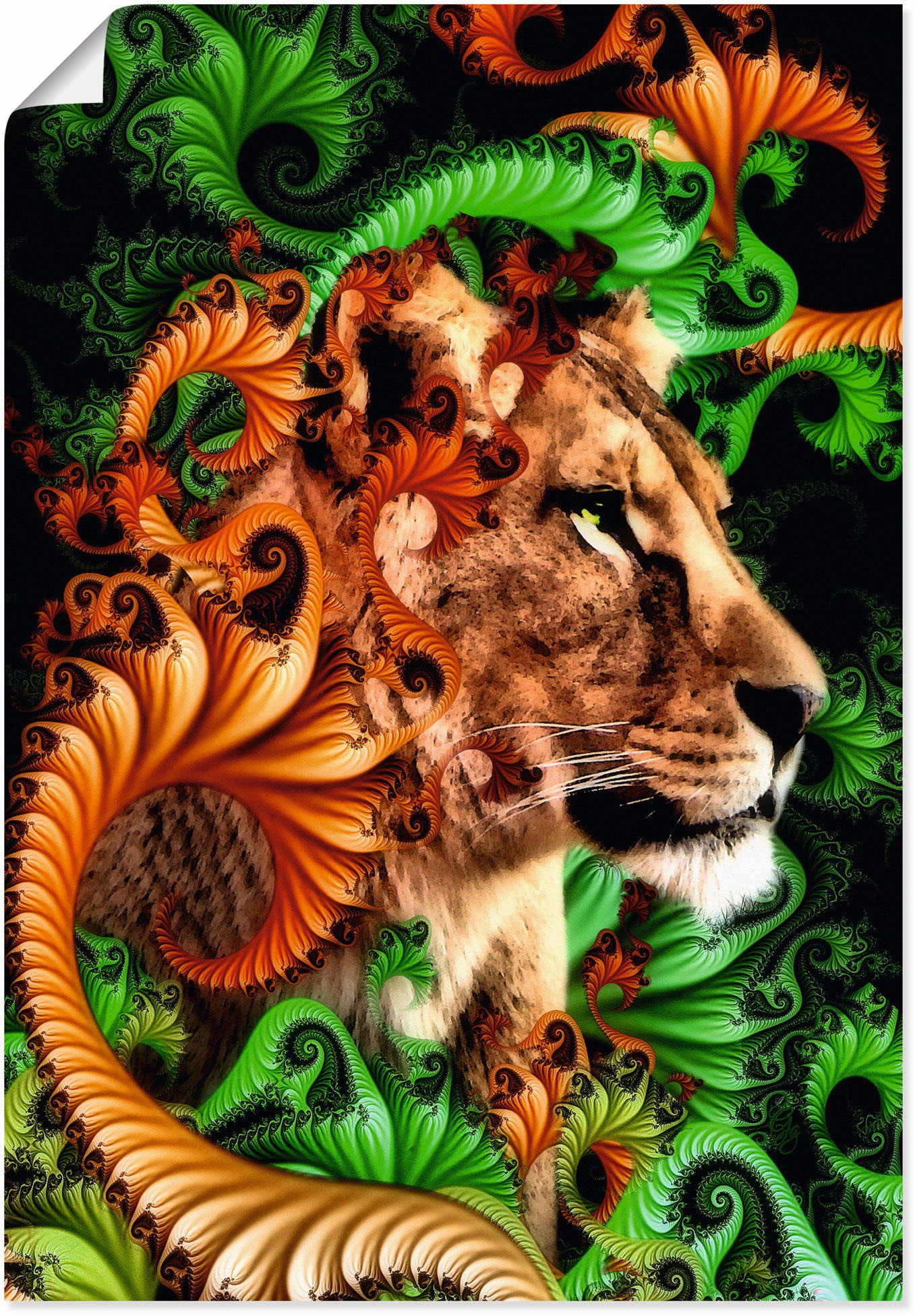 Poster »Im Jungle«, Löwen, (1 St.), als Alubild, Leinwandbild, Wandaufkleber oder...