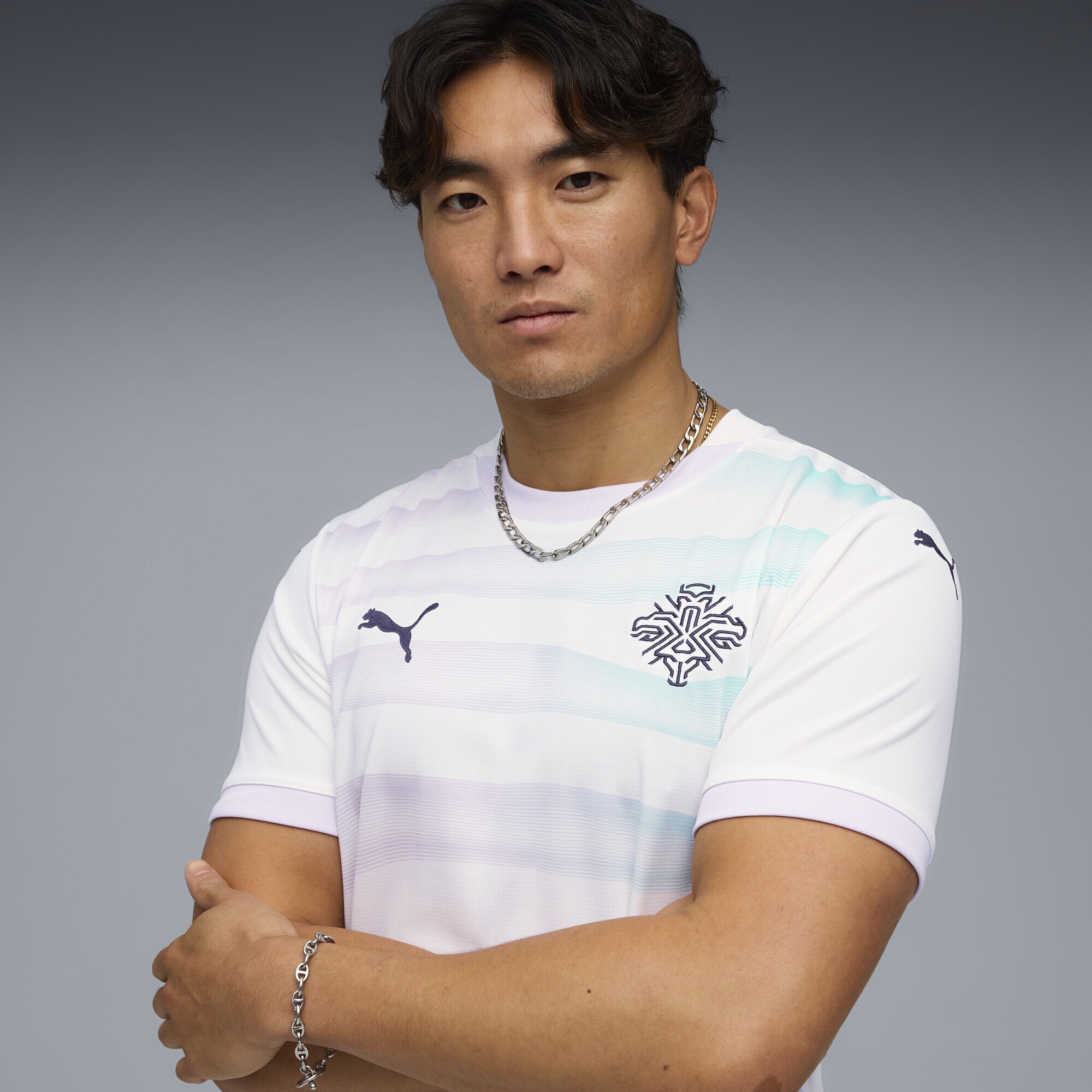 PUMA Trainingsshirt »Island Team 2025 Auswärtstrikot Herren«