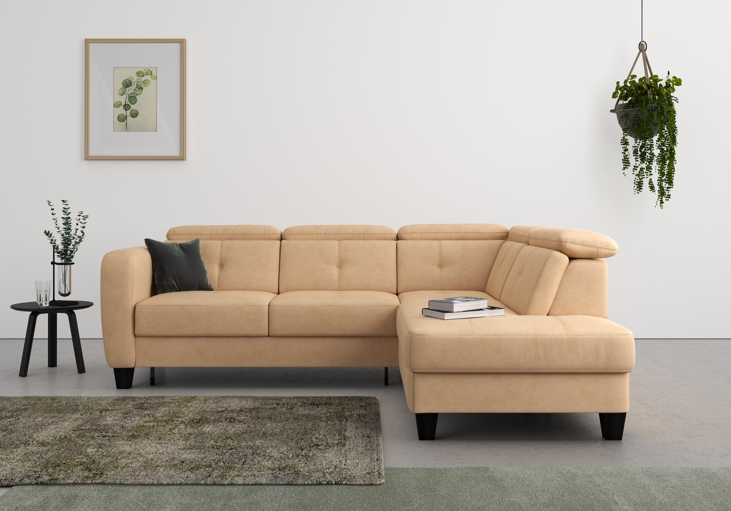 sit&more Ecksofa "Belluci L-Form" inklusive Federkern, wahlweise mit Schlaffunktion und Bettkasten