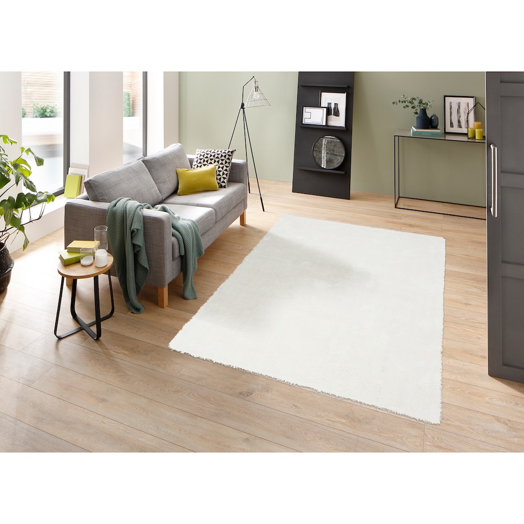 my home Hochflor-Teppich »Mikro Soft Super«, rechteckig