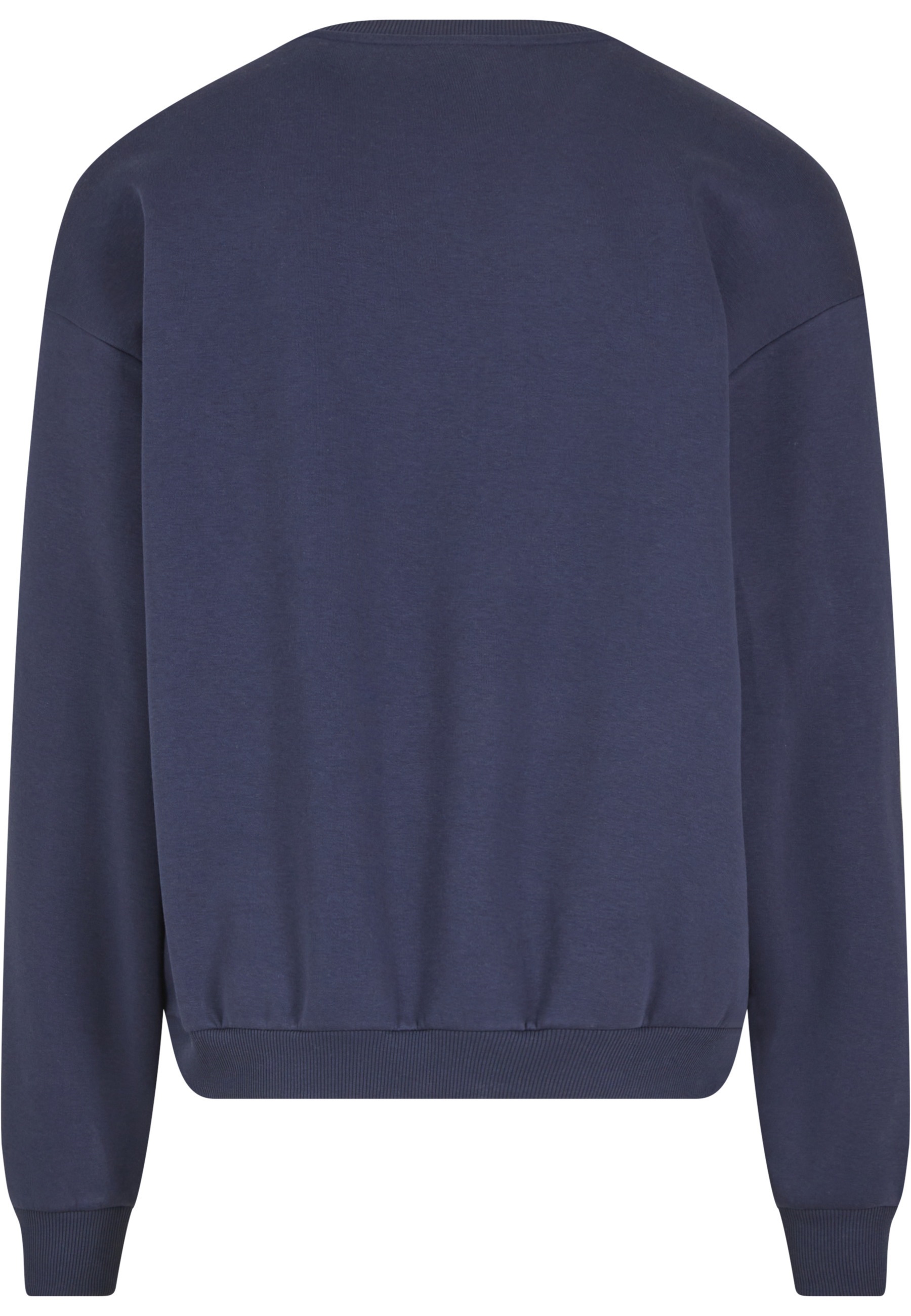 Karl Kani Rundhalspullover »Karl Kani Varsity Print Os Crewneck« 1 Stk.