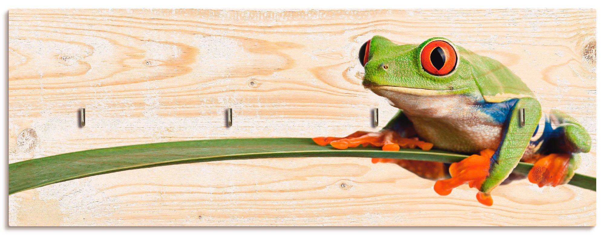 Artland Hakenleiste »Frosch auf einem Blatt«, MDF