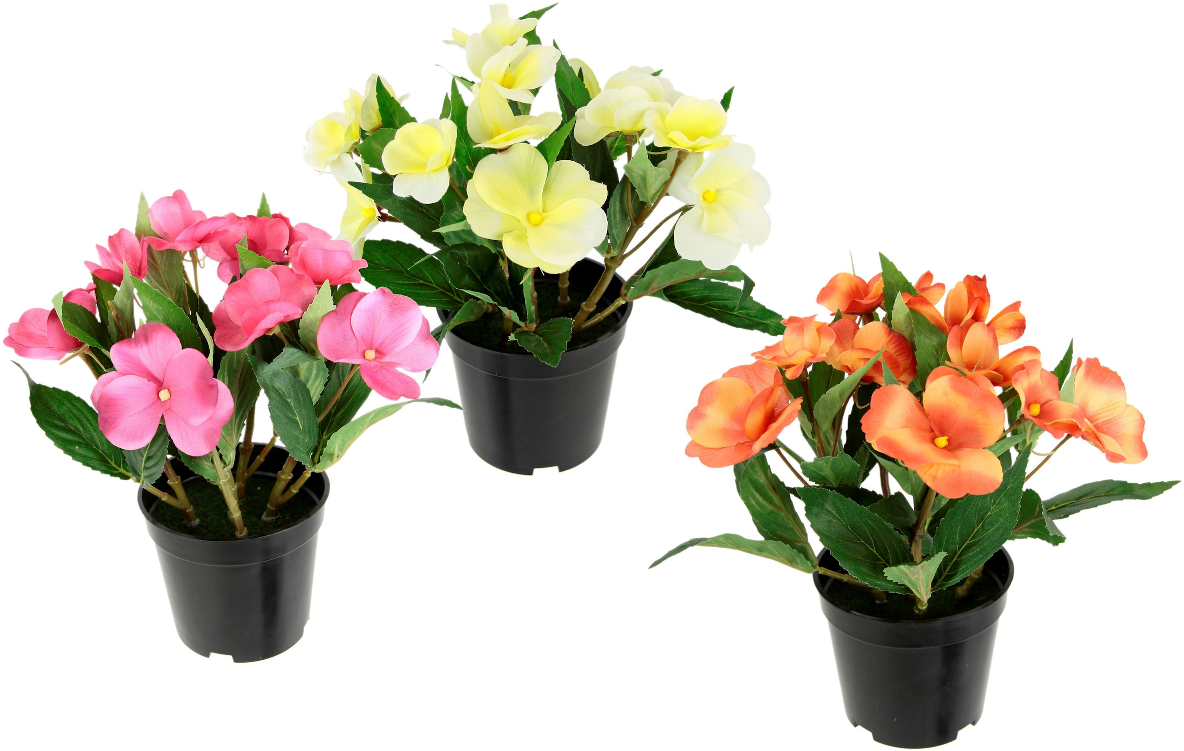 Impatiens Lieschen«, BAUR Im kaufen I.GE.A. Set Deko Textilblume | Valeriana 3er Topf, Kunstblume »Fleißiges Blumentöpfe