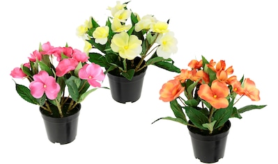 I.GE.A. Kunstblume »Petunien«, Im Topf, 2er Set Petunien Zierpflanze  Glockenblume klein Blumen Deko kaufen | BAUR