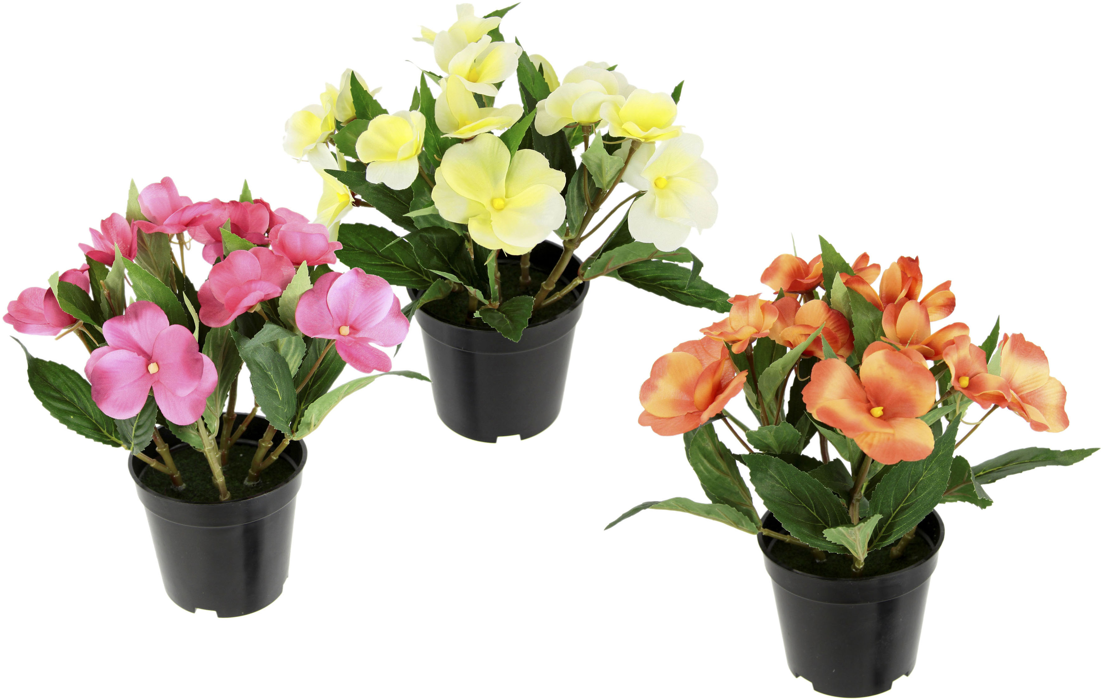 I.GE.A. Glockenblume kaufen Topf, 2er Zierpflanze klein BAUR Blumen Deko Kunstblume Im | Petunien »Petunien«, Set