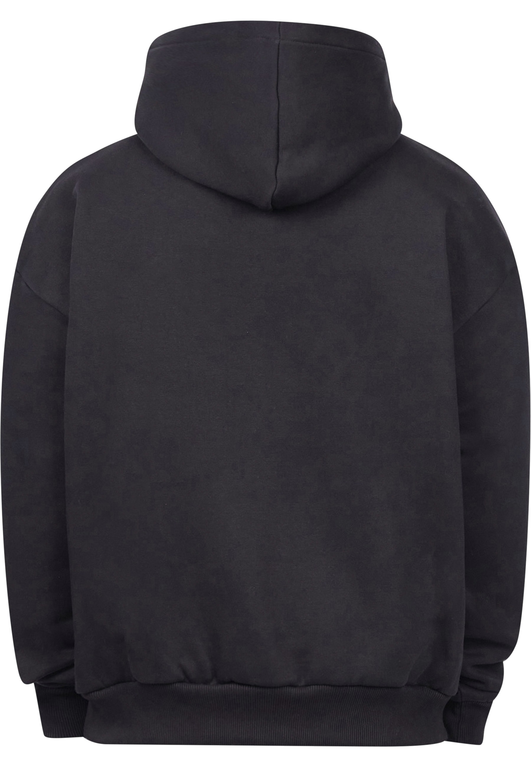 Dropsize Kapuzenpullover "Dropsize HEAVY OVERSIZE SCRIPT LOGO HOODIE" 1 Stk günstig online kaufen