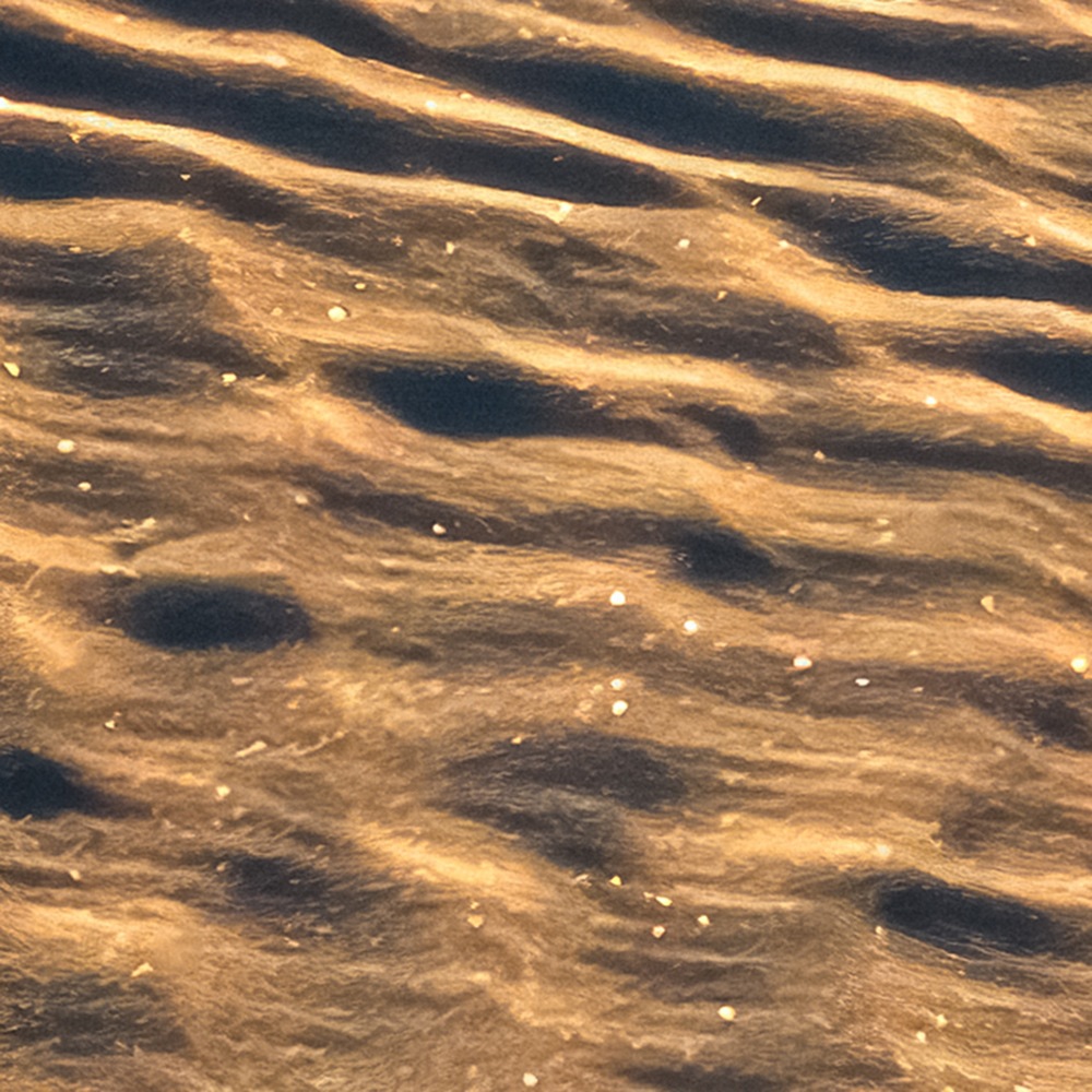 Komar Fototapete »Vlies Fototapete - Body Lines - Größe 500 x 250 cm« Motiv | bedruckt glatt