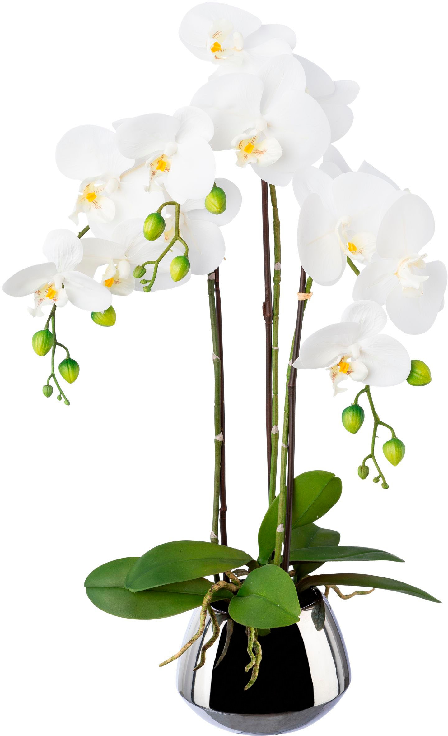 Creativ green Kunstorchidee "Phalaenopsis im Silbertopf", mit Real-Touch-Blüten