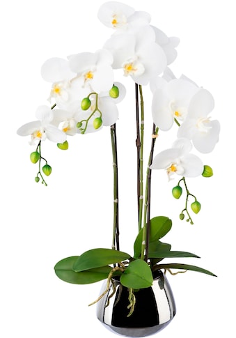 Creativ green Kunstorchidee »Phalaenopsis im Silbert...